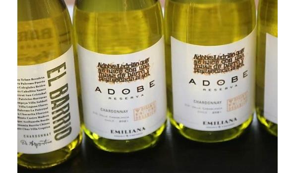 7 flessen divers witte wijn w.o. ADOBE